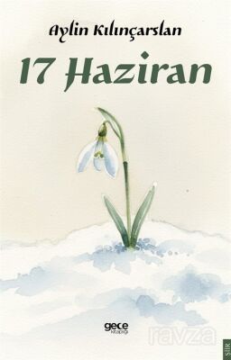 17 Haziran - 1