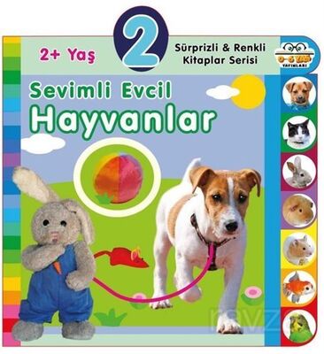 2+ Yaş Sevimli Evcil Hayvanlar - 1