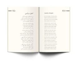 40 Şair 40 Şiir - 4