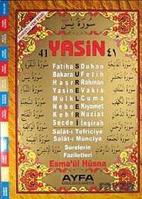41 Yasin Arapça (Rahle Boy-Şamua-4 Renk Kod:012) - Ayfa Basın