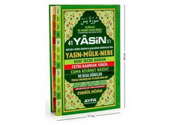 41 Yasin Türkçe Okunuşlu Sert Kapak (Orta Boy Kod:050) - Ayfa Basın