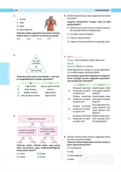 6. Sınıf Vıp Tüm Dersler Soru Bankası - 6