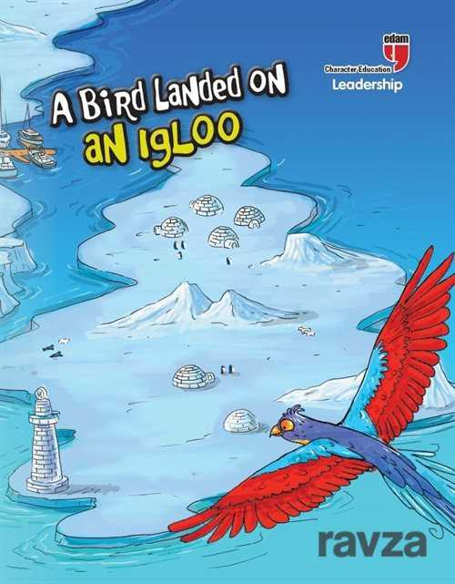 A Bird Landed on an Igloo - Leadership - Edam Yayınları