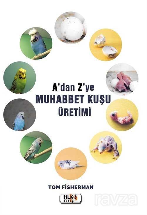 A'an Z'ye Muhabbet Kuşu Üretimi - 1