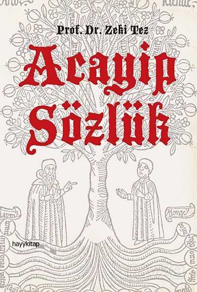 Acayip Sözlük - Hayy Kitap
