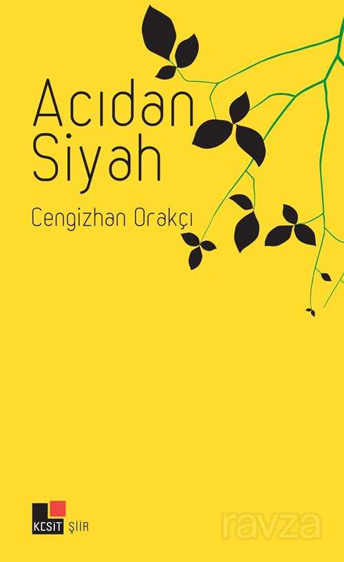 Acıdan Siyah - Kesit Yayınları