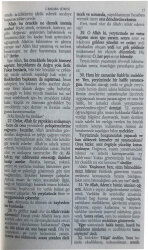 Açiklamali Meal Roman Boy Saffet Bakirci - 4