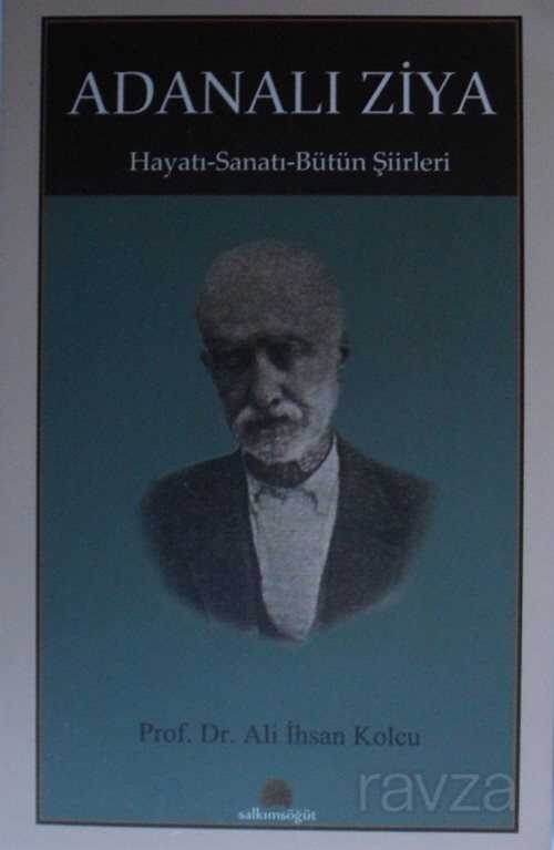 Adanalı Ziya - Salkımsöğüt Yayınları