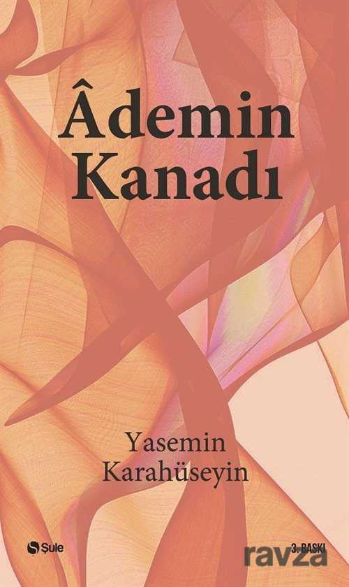 Ademin Kanadı (Roman Boy) - Şule Yayınları