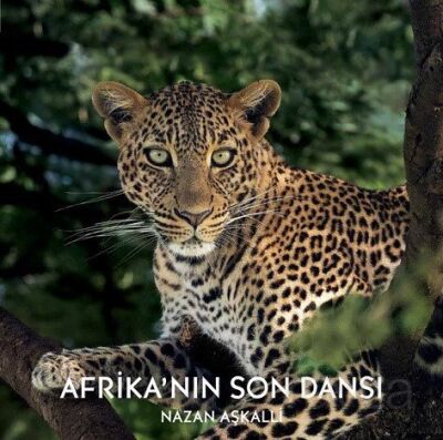 Afrika'nın Son Dansı - 1