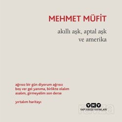 Akıllı Aşk, Aptal Aşk ve Amerika - Yapı Kredi Yayınları