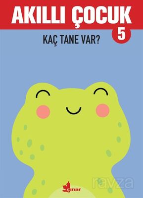 Akıllı Çocuk 5 / Kaç Tane Var? - 1