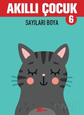 Akıllı Çocuk 6 / Sayıları Boya - 1