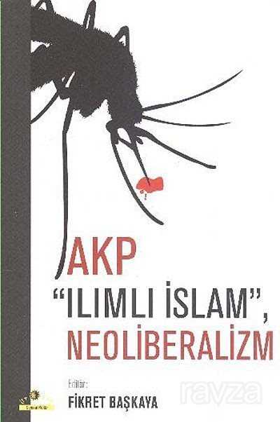 AKP Ilımlı İslam, Neoliberalizm - 1