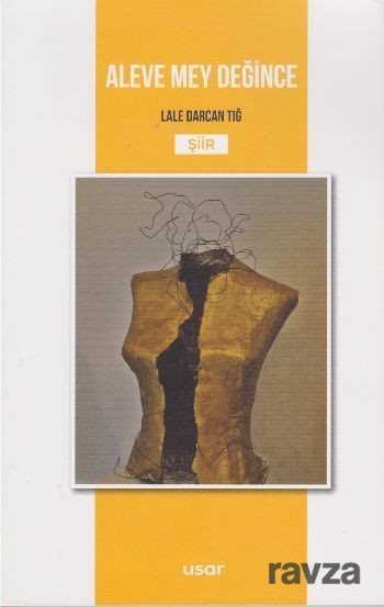 Aleve Mey Değince - Usar