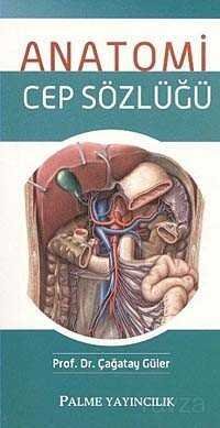 Anatomi Cep Sözlüğü - 1