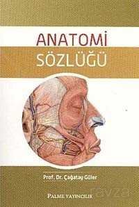 Anatomi Sözlüğü - 1