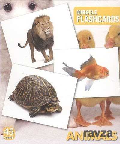 Animals Miracle Flashcards (45 Cards) - 1