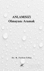 Anlam(sız) Olmayanı Aramak - Paradigma Akademi Yayınları