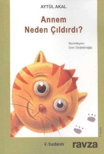Annem Neden Çıldırdı? - Tudem Yayınevi