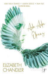 Aşk Asla Ölmez - Aşkın Gücü - Ruh Eşi (3 Kitap) - Artemis Yayınları