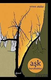 Aşk Burukluktur - Demos Yayınları