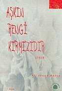Aşkın Rengi Kırmızıdır - Salkımsöğüt Yayınları