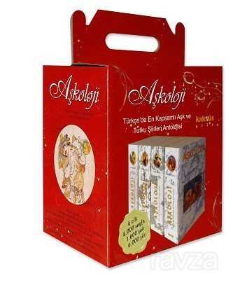 Aşkoloji Doğu ve Batı Edebiyatından Aşk ve Tutku Şiirleri Antolojisi 4 Cilt Takım - Kaknüs Yayınları