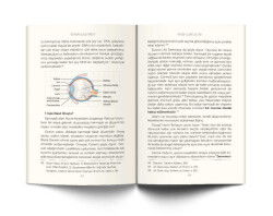 Ateistlere De Ki! 2 - Evrim Eleştirisi - 3