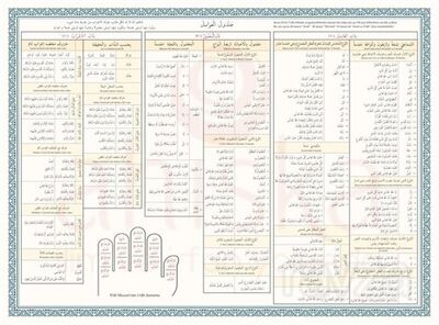 Avamil Şeması Renkli - 1