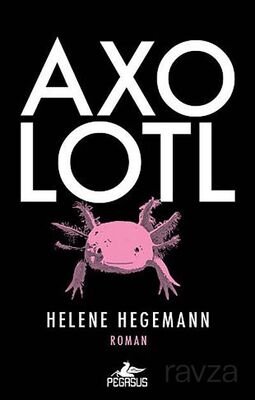 Axolotl - 1