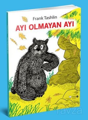 Ayı Olmayan Ayı - 1