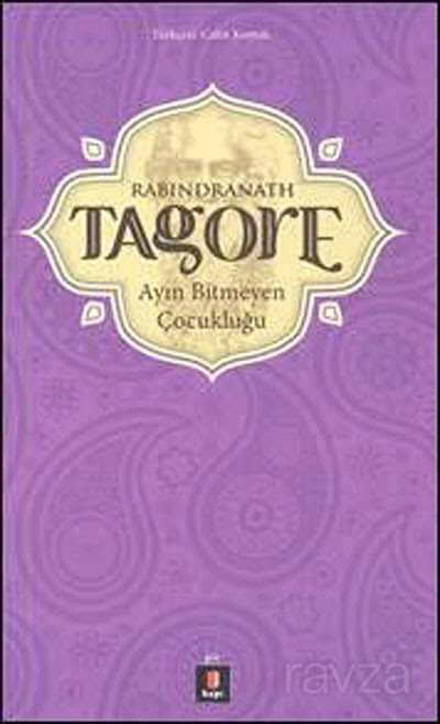 Ayın Bitmeyen Çocukluğu - Kapı Yayınları