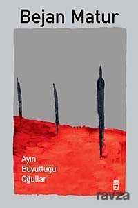 Ayın Büyüttüğü Oğullar - Timaş Yayınları