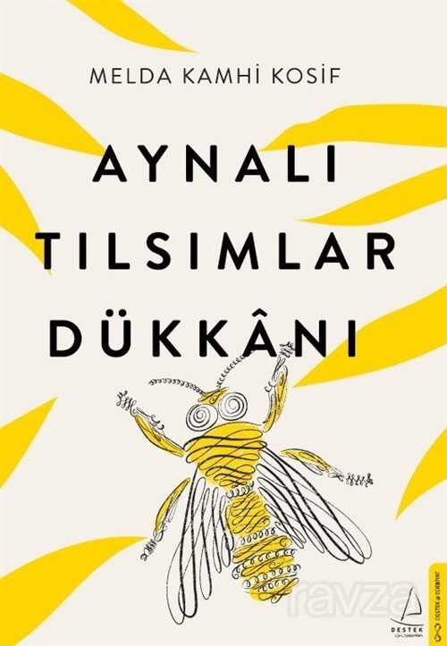 Aynalı Tılsımlar Dükkanı - Destek Yayınları