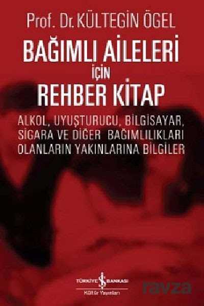 Bağımlı Aileleri İçin Rehber Kitap - İş Bankası Yayınları