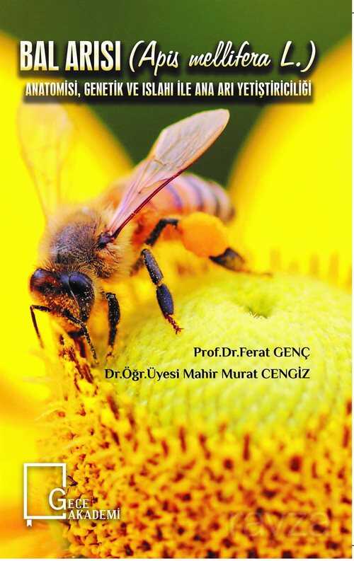 Bal Arısı (Apis Mellifera L.) Anatomisi, Genetik ve Islahı ile Ana Arı Yetiştiriciliği - Gece Akademi