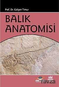 Balık Anatomisi - 1