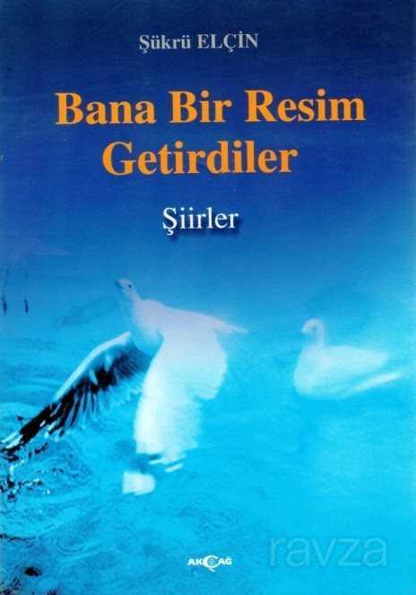 Bana Bir Resim Getirdiler - Akçağ Yayınları