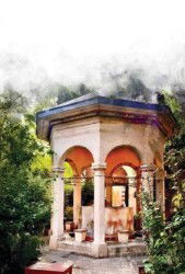 Başka Bahar İçin Yeşermek - Çizge