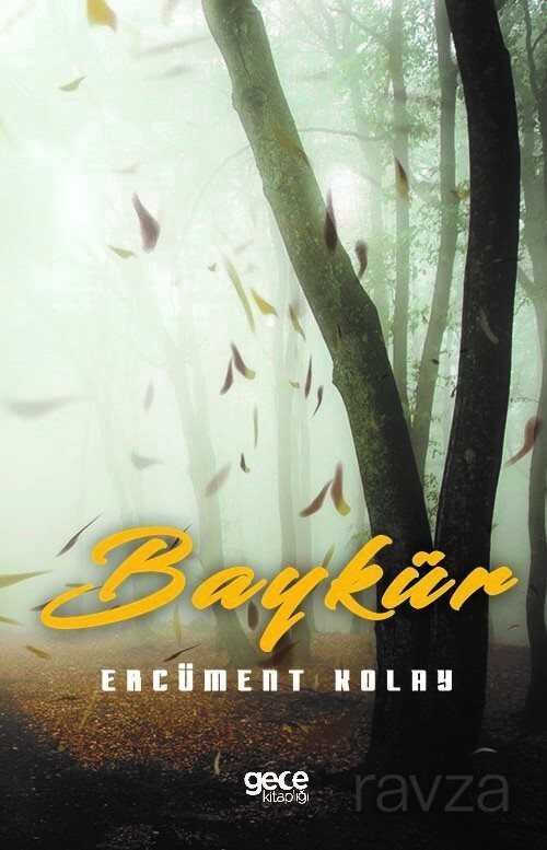 Baykür - Gece Kitaplığı