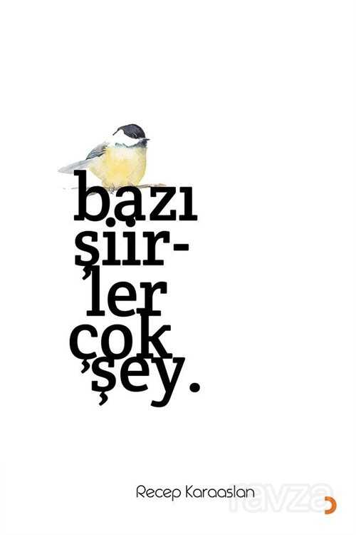 Bazı Şiirler Çok Şey - 1