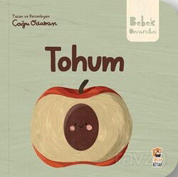 Bebek Üniversitesi / Hikayeli İlk Kavramlarım 4 / Tohum - Sincap Kitap