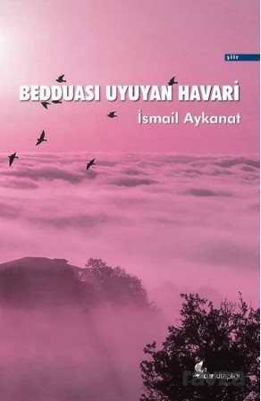 Bedduası Uyuyan Havari - Okur Kitaplığı
