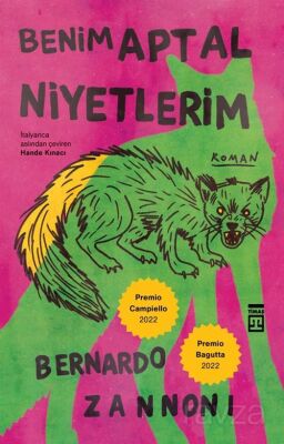 Benim Aptal Niyetlerim - 1