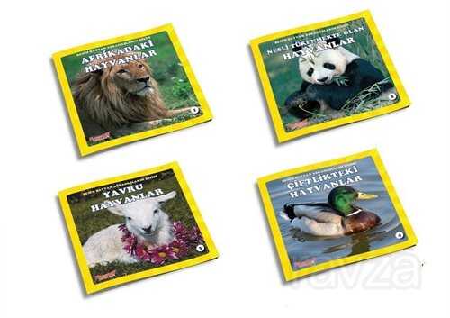 Benim Hayvan Arkadaşlarım (4 Kitap) - Yumurcak Yayınları