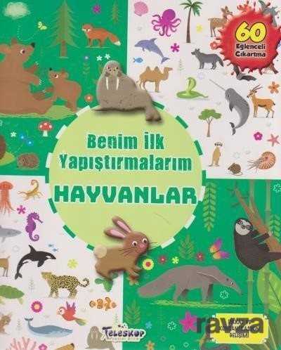 Benim İlk Yapıştırmalarım / Hayvanlar - Teleskop Popüler Bilim