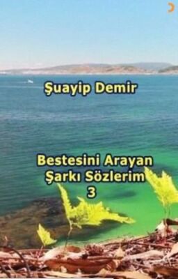 Bestesini Arayan Şarkı Sözlerim 3 - 1