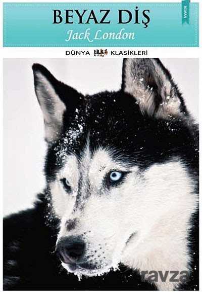 Beyaz Diş - Tilki Kitap