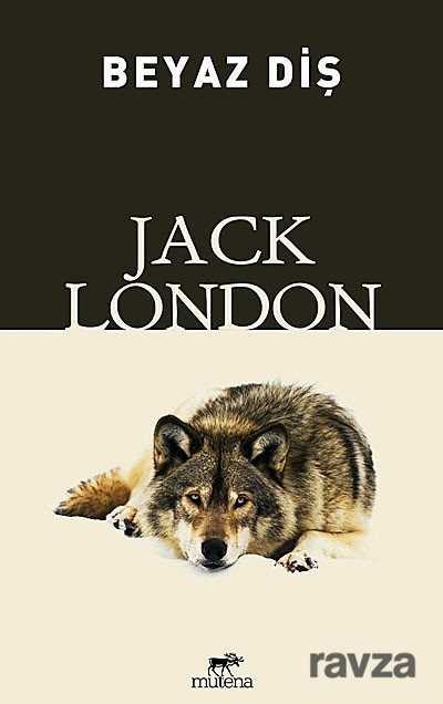 Beyaz Diş - Mutena Yayınları